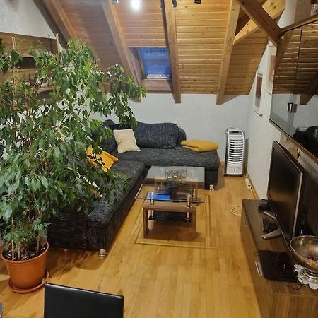 Gemuetliche Dachgeschosswohnung Erfurt Exterior foto